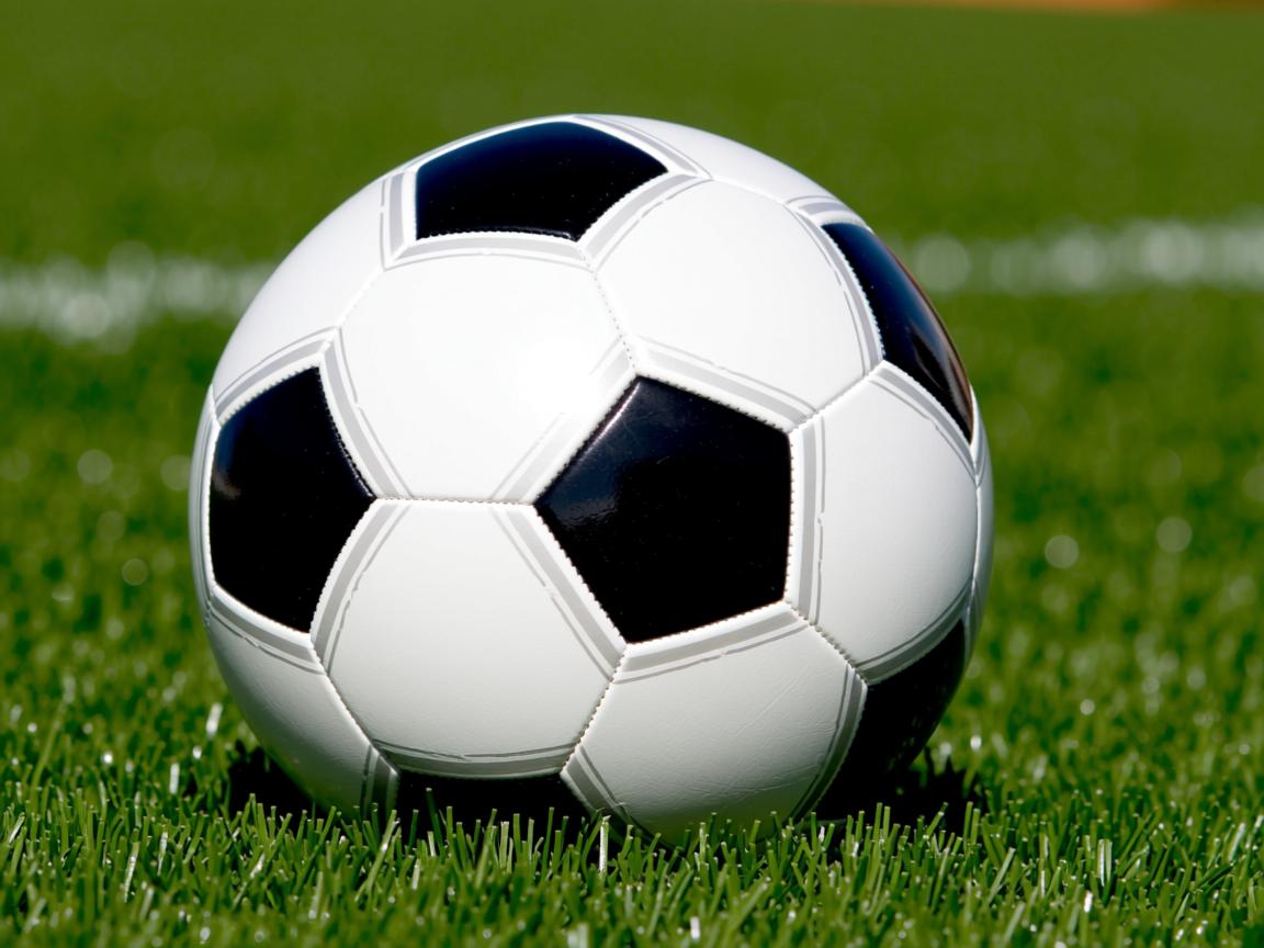 开云体育app下载-CBA联赛联合科技企业开展运动研究，cba运作模式