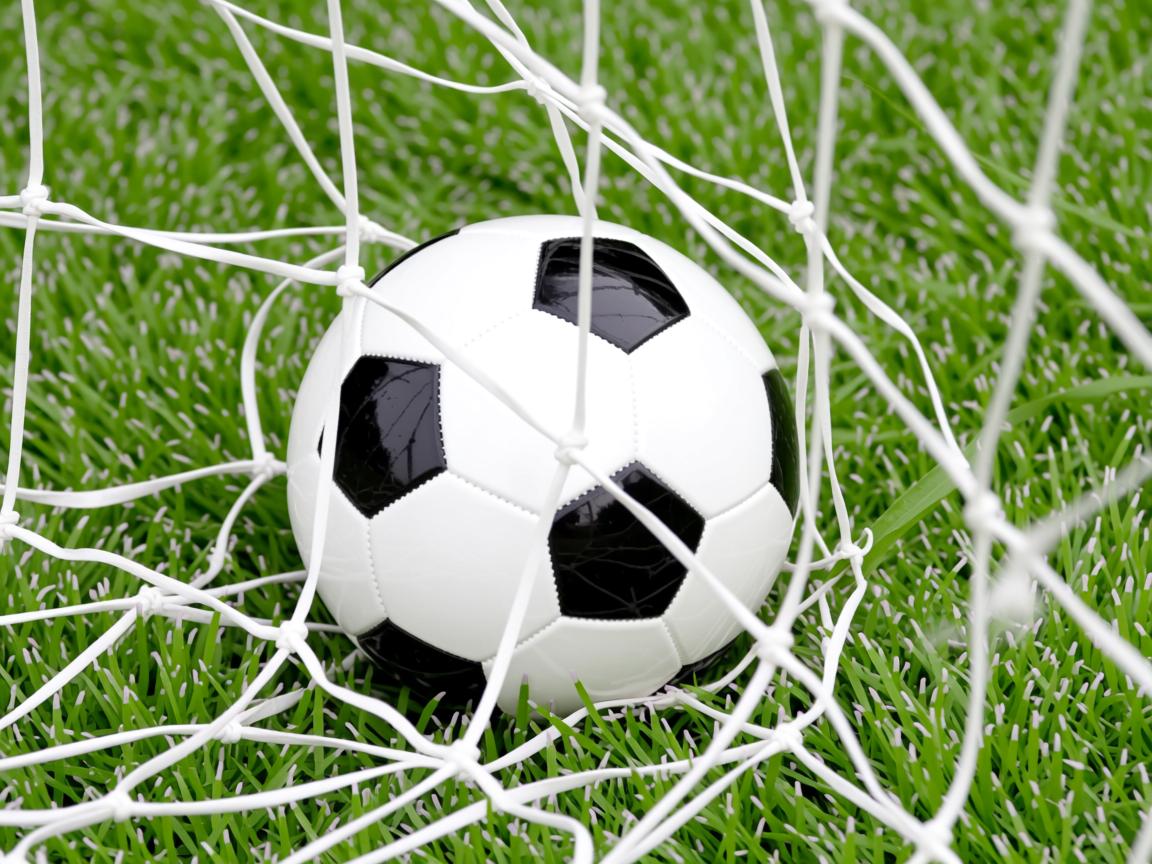 开云体育app官网-埃弗顿前场拼抢频繁打乱对方部署，埃弗顿中场  第2张