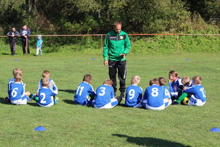 开云体育官网上-教练团队战术调整助力比赛胜利，教练布置战术  第3张